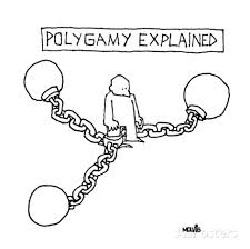 Thesis polygamy